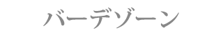 バーデゾーン